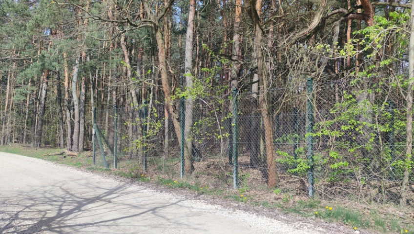 Działka Sprzedaż Wyględy